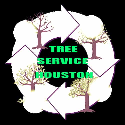 Tree Trimming Service Houston